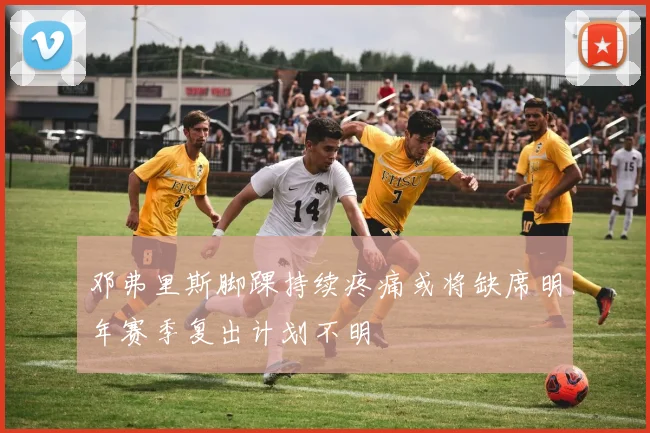 邓弗里斯脚踝持续疼痛或将缺席明年赛季复出计划不明