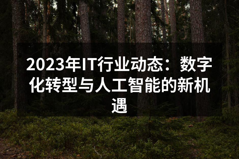 数字化转型助力企业成长