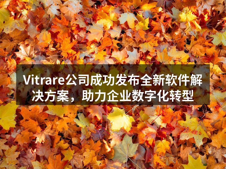 Vitrare新软件发布会现场
